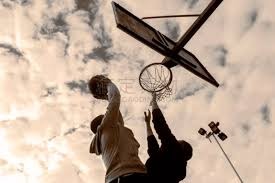 黄蜂鹈鹕魔术活塞